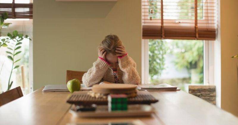 Freepik/wavebreakmedia-micro